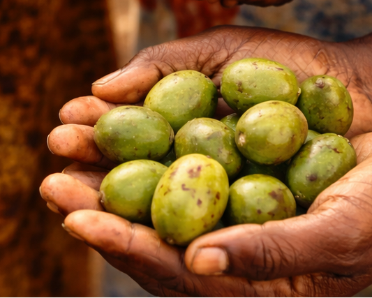 Shea butter for dry winter skin