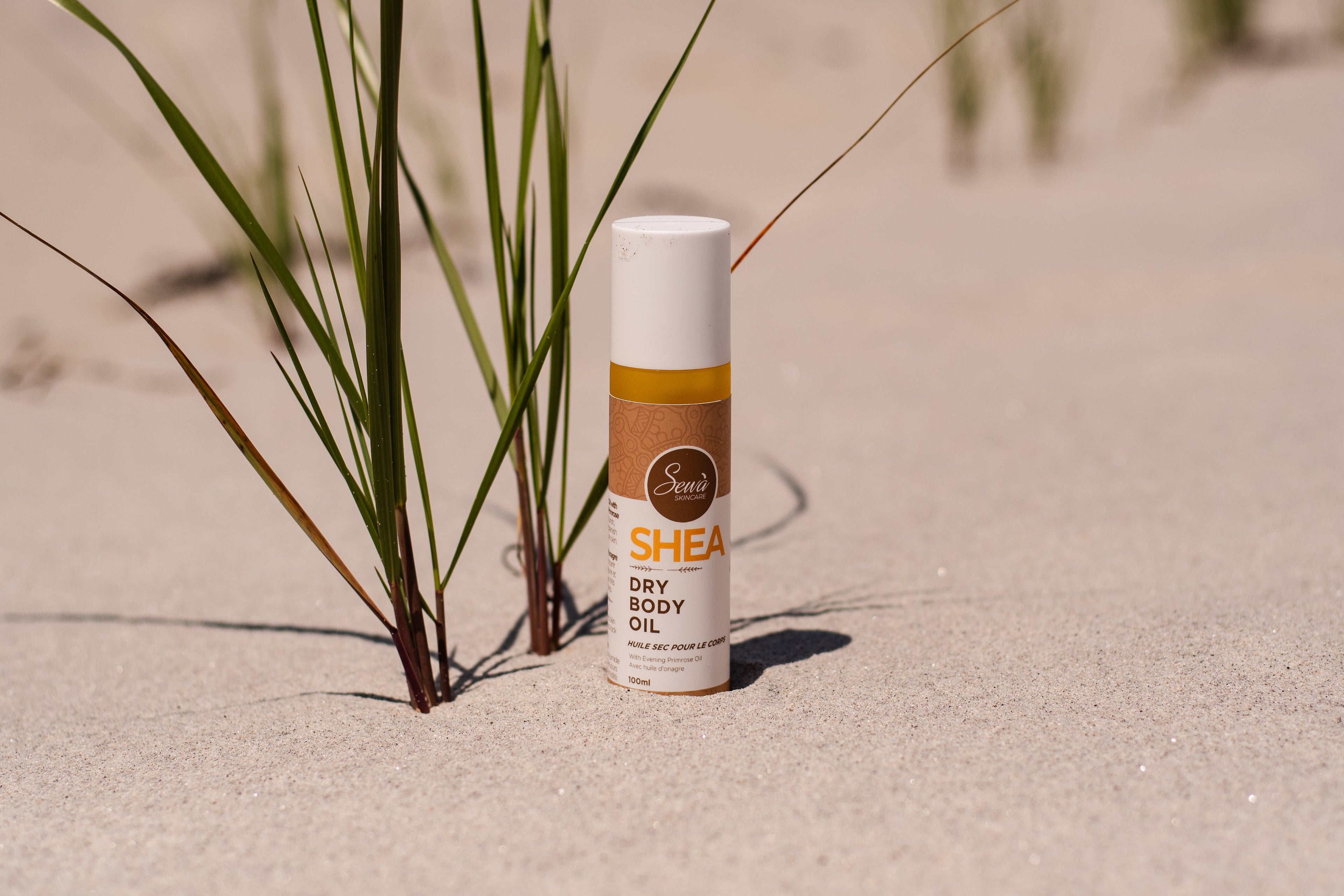 What Is a Dry Oil and Why It's the Best for Summer Skincare - Sewa Skincare